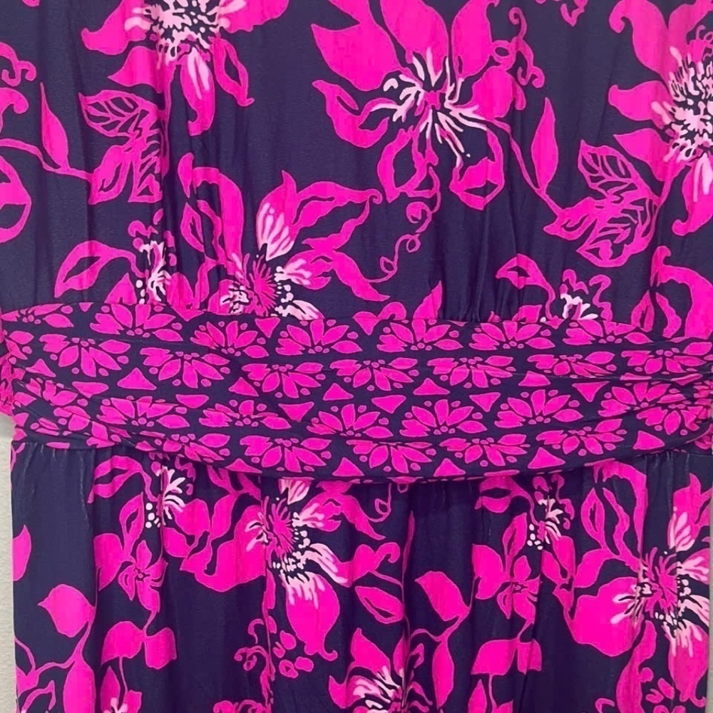 NWOT LILLY PULITZER Parigi Boat Neck Maxi Dress - Picture 5 of 5
